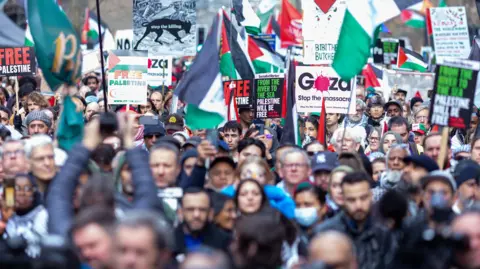 Protesters during a pro-Palestine march in central London earlier this year 