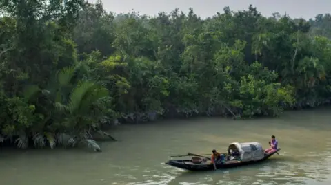 Getty Images A fishing boat close to a mangrove forest