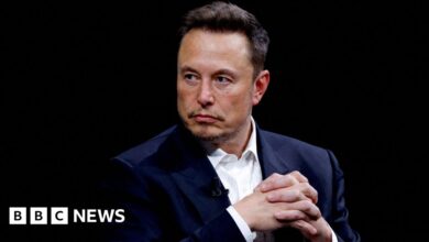 Brazil X: Court fines Musk website for site's brief return