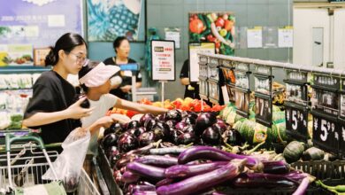 China's CPI climbs by a less-than-expected 0.6% as transport and home goods prices fall