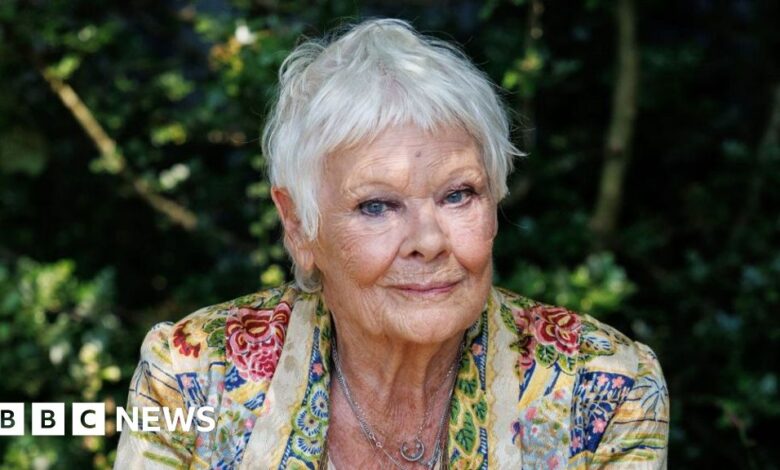 Dame Judi Dench and John Cena to voice Meta AI chatbot