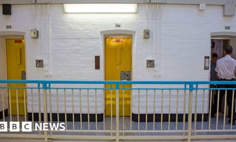 Reoffending prisoner was let out by mistake, BBC told