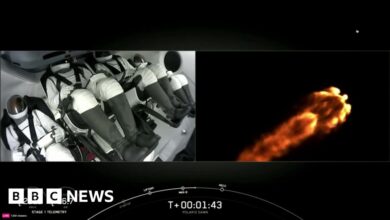 Watch: SpaceX's Polaris Dawn mission blasts off