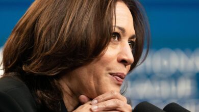 Vice President Kamala Harris delivering remarks to reporters.