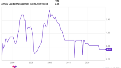 NLY Dividend Chart