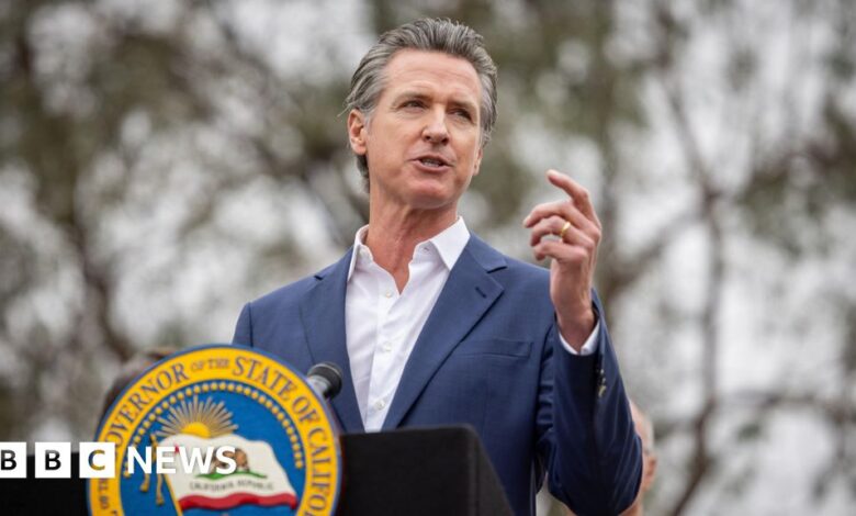 California governor Gavin Newsom vetoes landmark AI safety bill