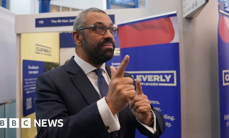 'Stop the boats' slogan was error, James Cleverly tells Tory activists