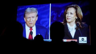 Trump or Harris? Here are the 2024 stakes for airlines, banks, EVs, health care and more