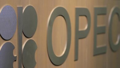 The next OPEC+ ministerial meeting is scheduled for Dec. 1, 2024.