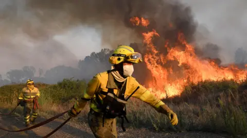 Getty Images Two firefighters wearing protective clothing and headgear are carrying dark red firehoses near a village in northern Spain. They are walking along a track beside a grassy area which is on fire. 