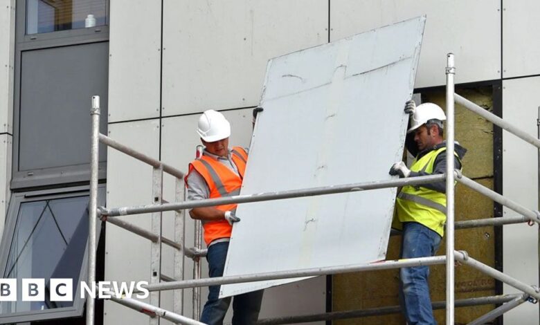 Government could miss cladding removal target date - watchdog