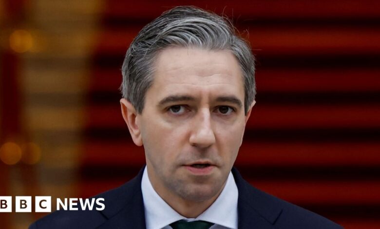 Irish election 2024: Harris calls snap poll for 29 November