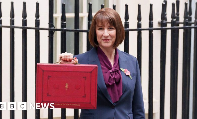 Rachel Reeves doesn’t mind if you don't like her Budget