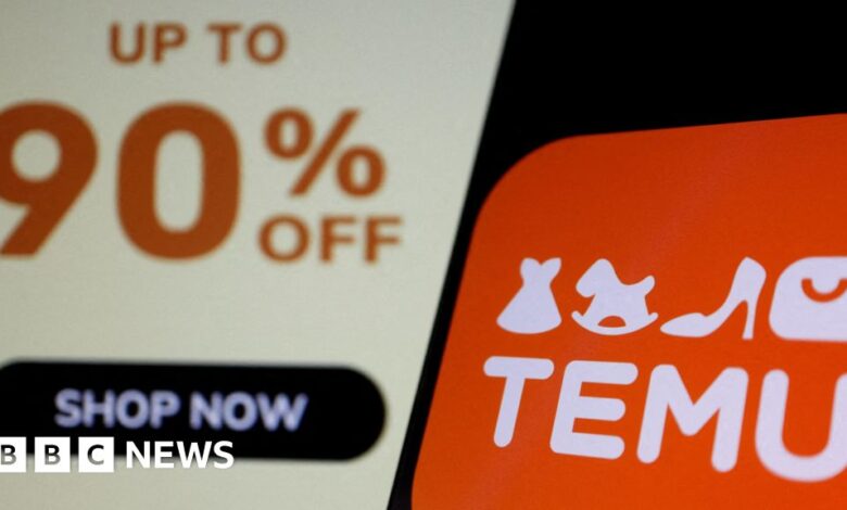 Temu owner misses sales forecast as China economy slows