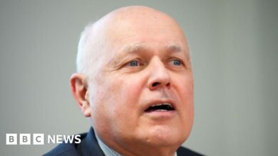 Alleged Chinese spy 'tip of iceberg', says Iain Duncan Smith