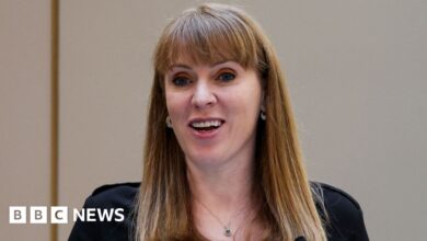 Angela Rayner promises mayor for every region of England