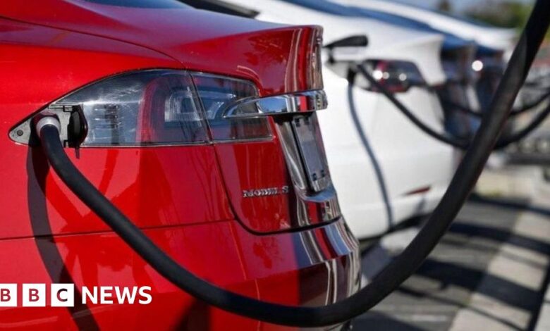 Elon Musk's Tesla lobbied UK to charge petrol drivers more