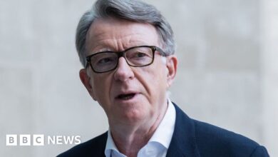 Labour veteran Peter Mandelson says US ambassador job an 'honour'