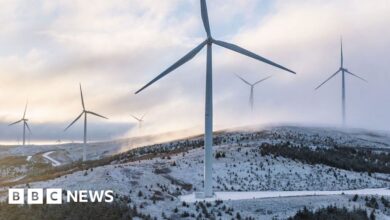 Miliband unveils energy plan with new powers over wind farms