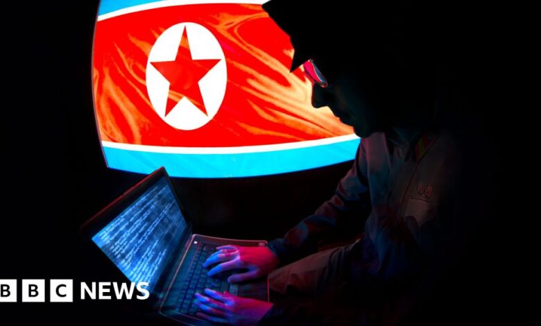 N Korea made millions from remote work scheme, US says