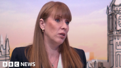 Planning reforms will end development chaos, says Angela Rayner