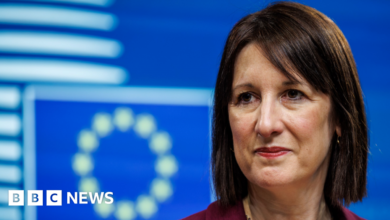 Rachel Reeves signals wider reset of EU relations