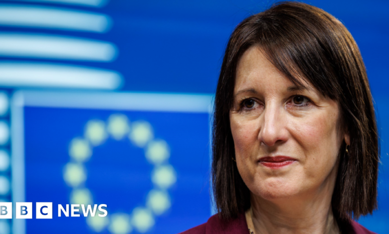 Rachel Reeves signals wider reset of EU relations