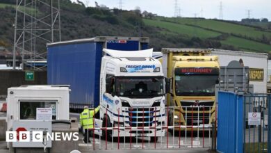 Stormont votes to extending post-Brexit trading arrangements