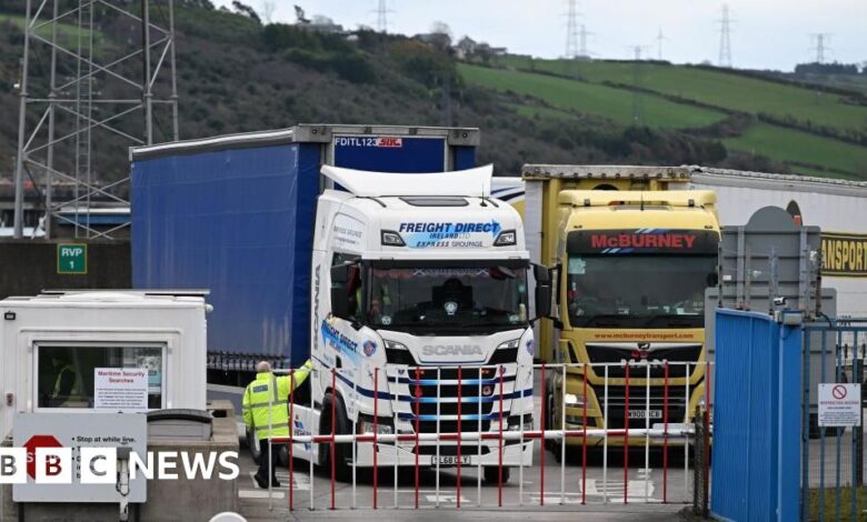 Stormont votes to extending post-Brexit trading arrangements