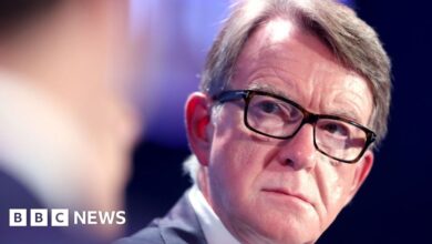 Trump campaign adviser calls Lord Mandelson 'an absolute moron'