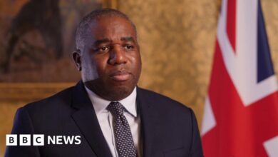 UK in 'diplomatic contact' with Syrian rebels, says Lammy