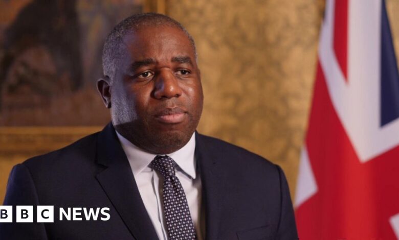 UK in 'diplomatic contact' with Syrian rebels, says Lammy