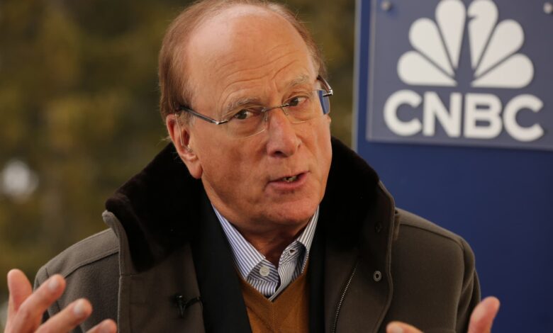 BlackRock's Fink sees potential risks and says the bond market will tell us where we are going