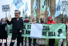 Climate and Nature Bill falls as MPs vote to end debate