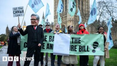 Climate and Nature Bill falls as MPs vote to end debate