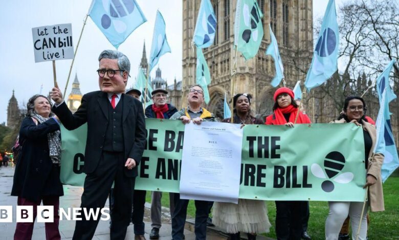 Climate and Nature Bill falls as MPs vote to end debate