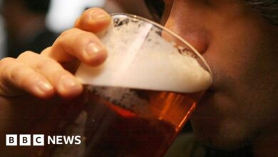 Closing Parliament's bars could risk MPs' safety, says Lucy Powell