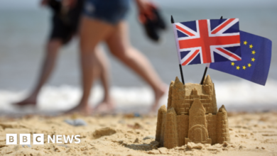 Former New Labour adviser appointed to lead UK's EU reset