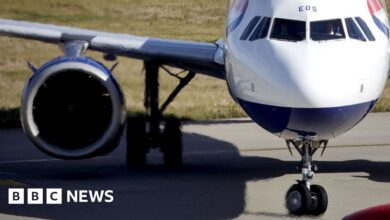 Heathrow: Will a third airport runway help UK growth?