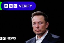 How Elon Musk seized on baseless memo claim to create wave of misinformation