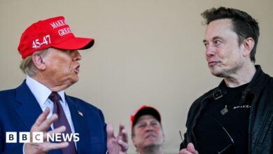 How Trump and Elon Musk's interventions prompt diplomatic challenge