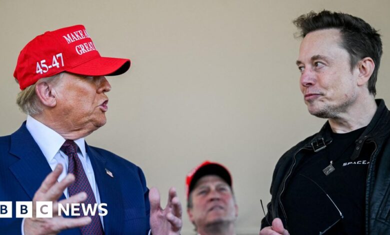 How Trump and Elon Musk's interventions prompt diplomatic challenge