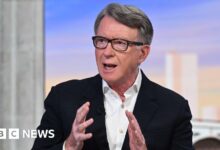 Lord Peter Mandelson says criticism of Donald Trump 'ill-judged'