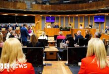 Misbehaving Welsh Senedd politicians could be voted out