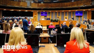 Misbehaving Welsh Senedd politicians could be voted out