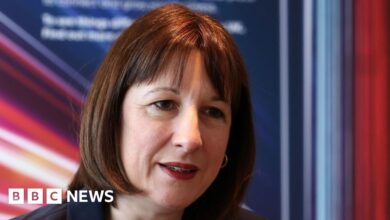 'No easy routes' to growth, Rachel Reeves tells Labour MPs