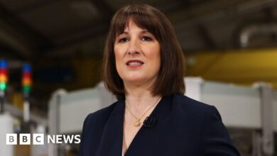 Rachel Reeves backs Heathrow third runway in growth push