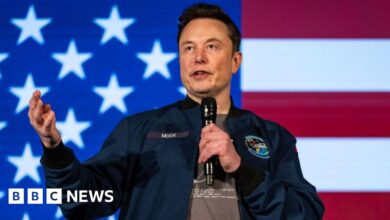 TikTok: Firm calls report of possible sale to Elon Musk 'pure fiction'