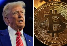 Trump and bitcoin: BlackRock predicts another historic year for crypto