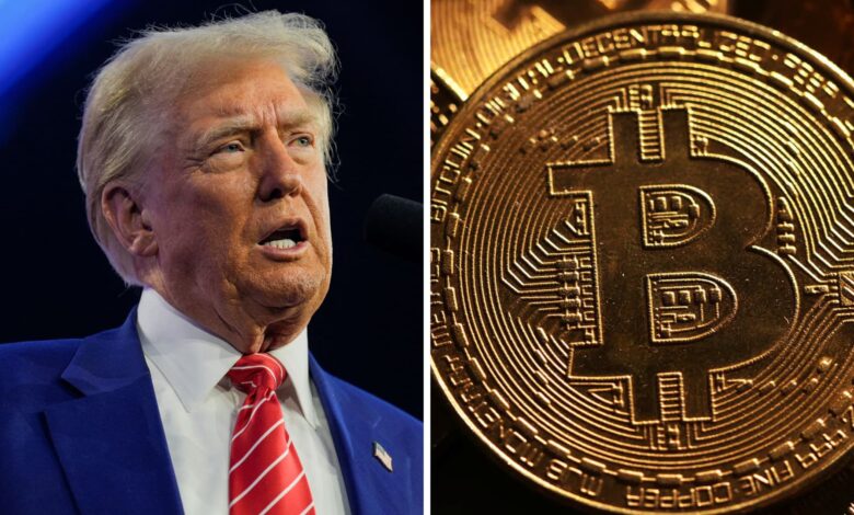 Trump and bitcoin: BlackRock predicts another historic year for crypto